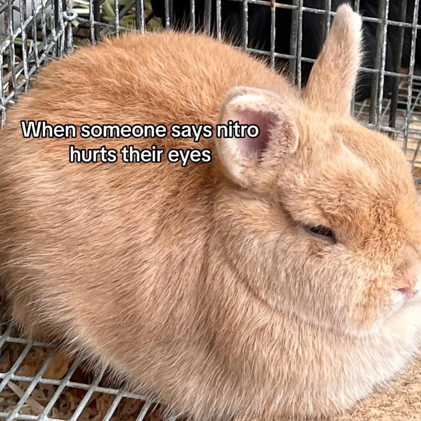 I actually say nitro hurts my eyes 👀 haters gonna hate 

#dragracing #motorsports #racing