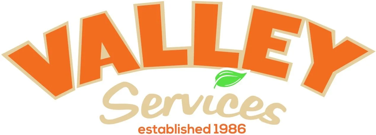 VALLEY S LOGO.JPG