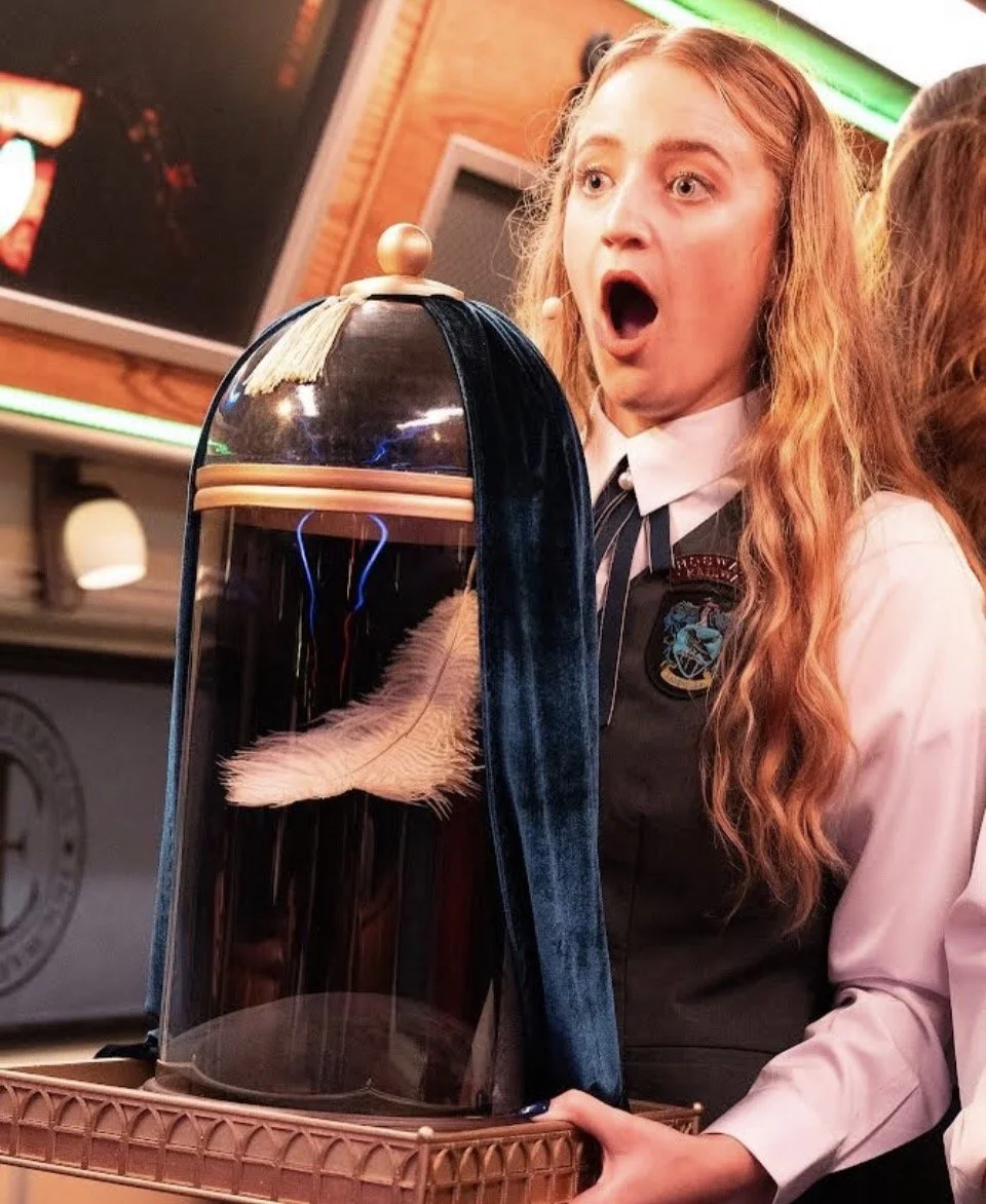 Harry potter magic trick 