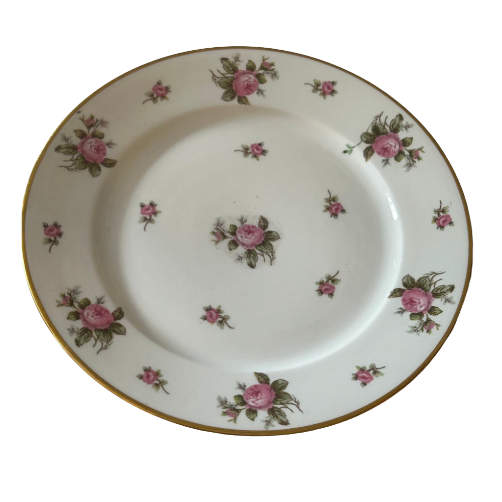 Vintage porcelain plate
