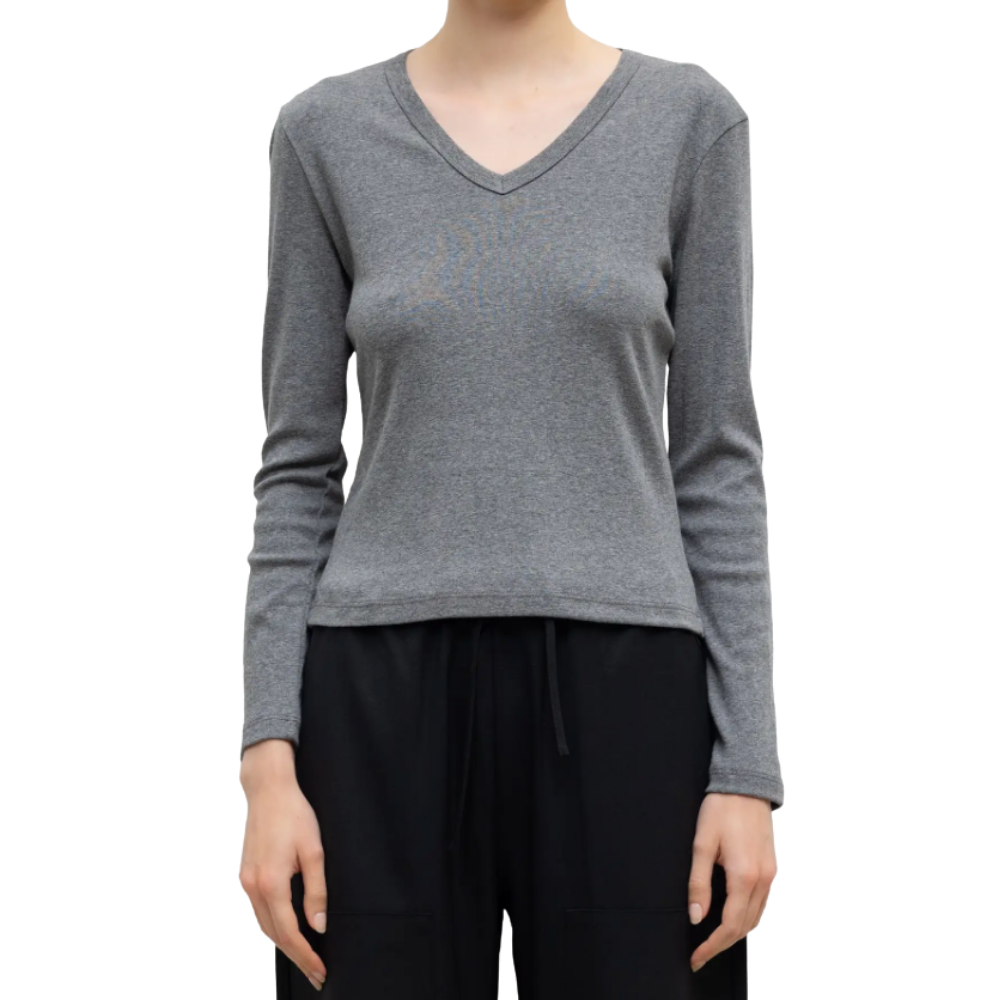 LESET slim V neck 