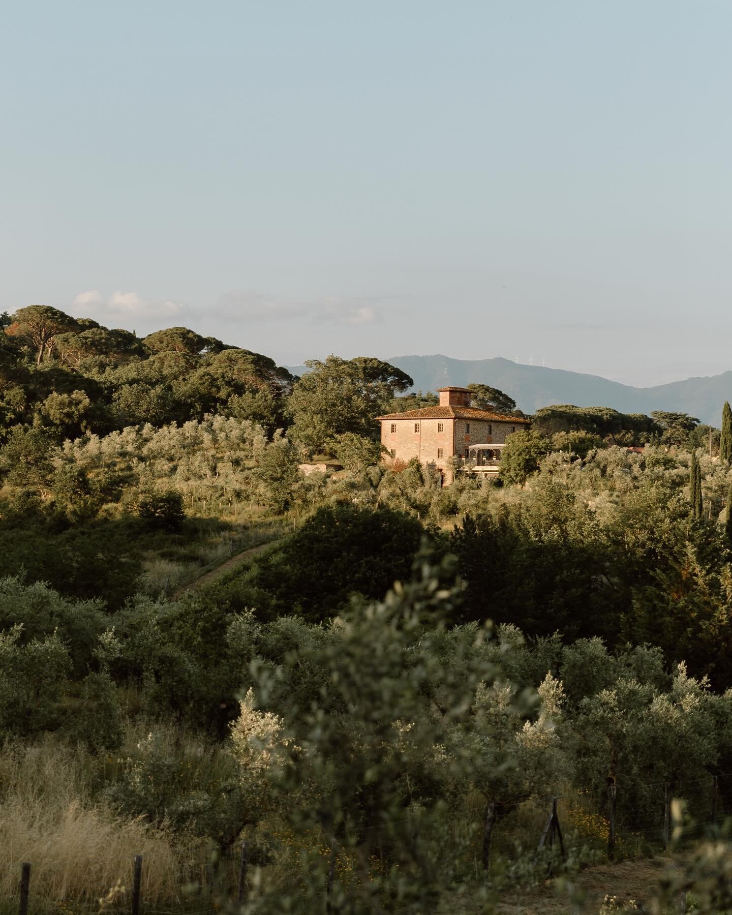 imagine sharing your vows here&mdash; overlooking the rolling hills, followed by dinner tucked away in the olive groves with your closest friends &amp; family 🥹 🕊️ 

I've been around the world and nothing seams to beat the rolling Tuscan countrysid