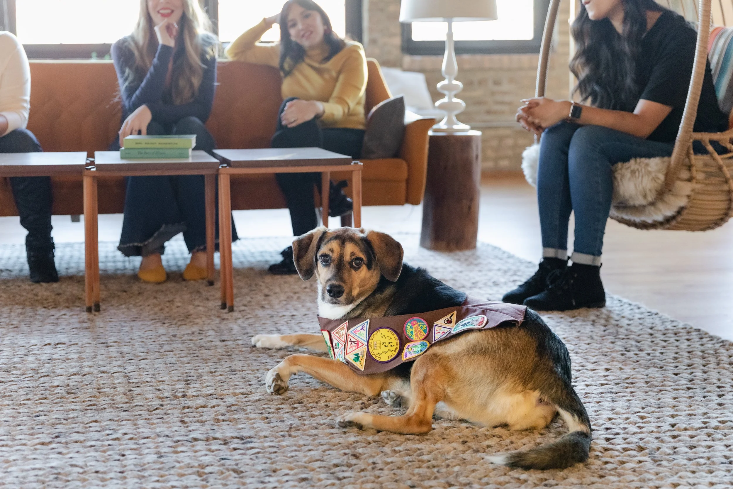 A dog lying on a carpeted floor with a vest decorated with colorful patches, inside a cozy room with three women sitting on furniture in the background.