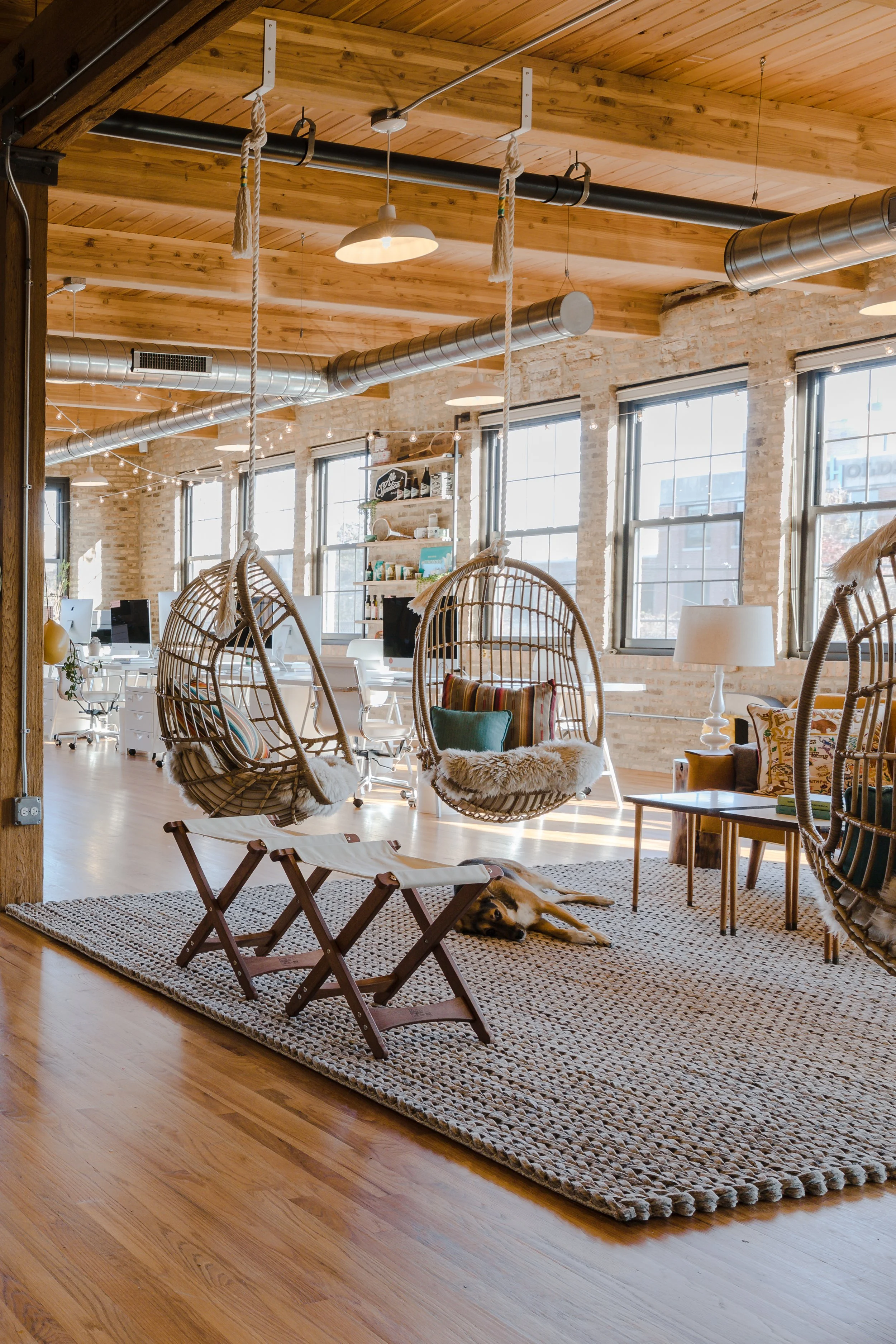 Modern office with hanging wicker chairs, a dog lying on a rug, and a cozy seating area with pillows and a lamp.
