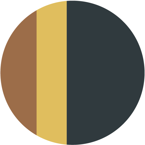 A circular navy blue, rust orange, and yellow logo.