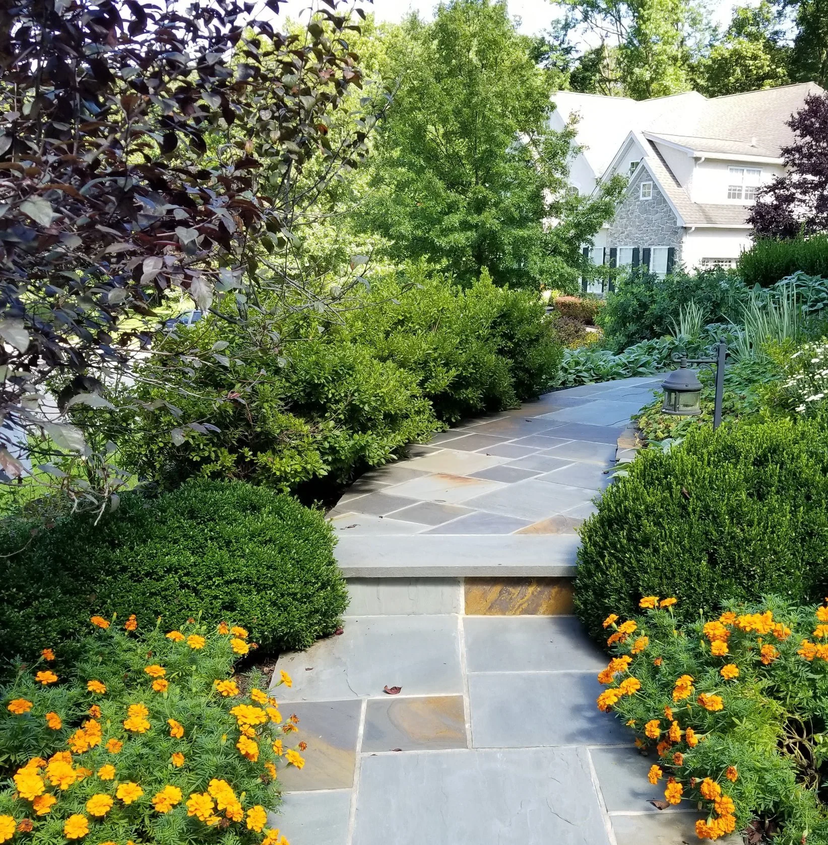 landscape consultation services