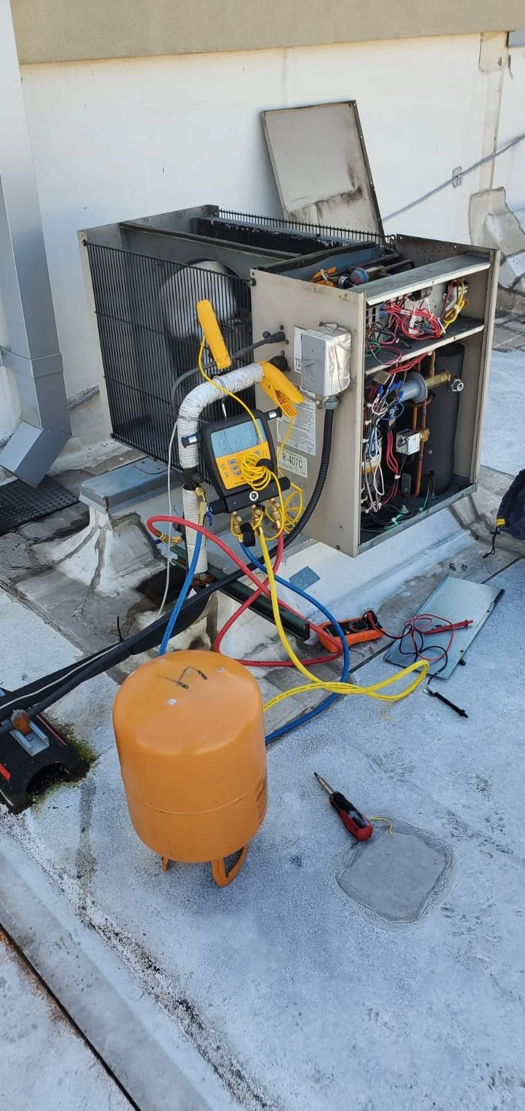 WhatsApp Image 2024-02-12 at 5.16.56 PM (2).jpeg