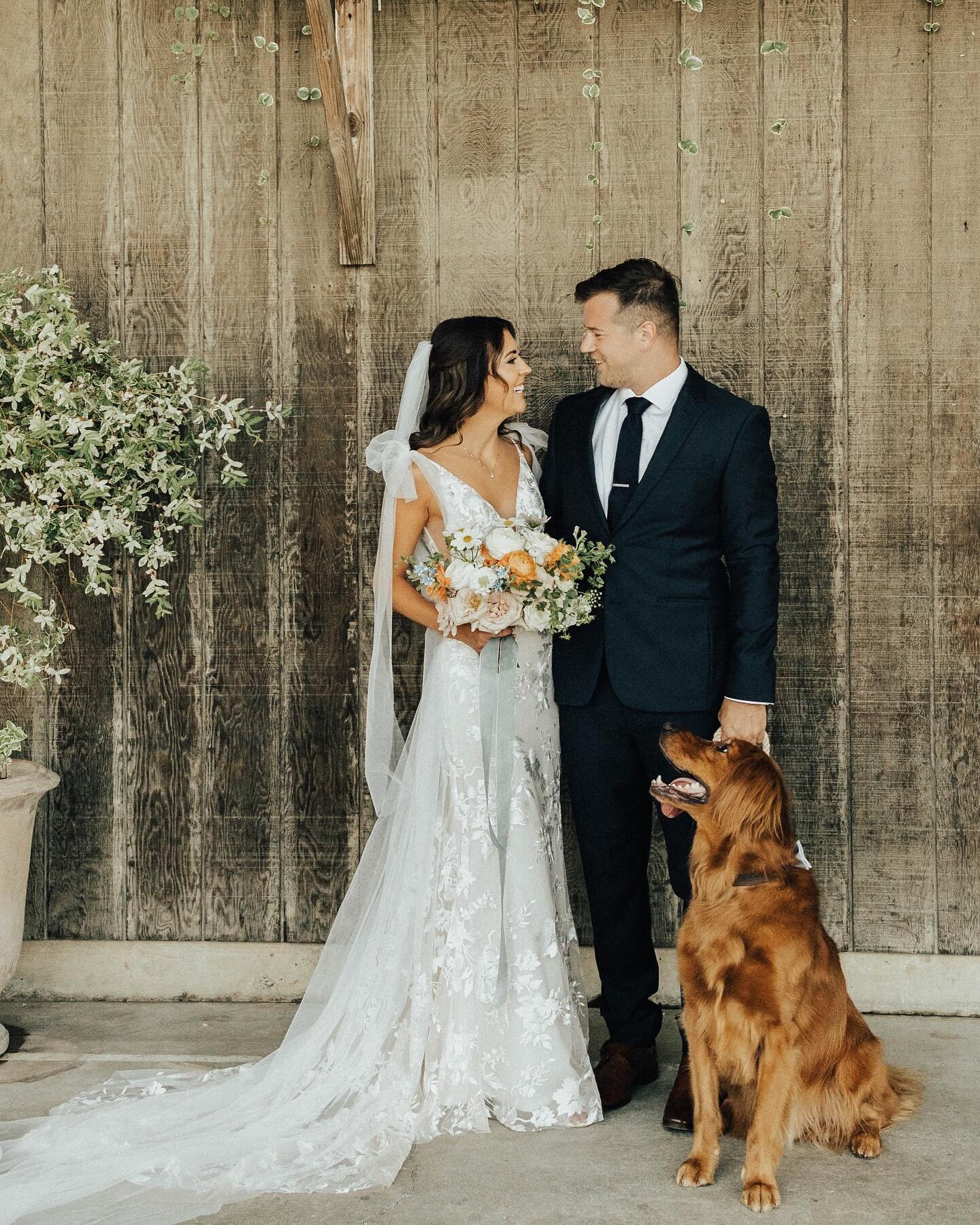 If you&rsquo;re seeing this, this may possibly be your sign to incorporate your beloved pet into your wedding day 👀🤍

#bridalportraits #weddingfamilyportraits #weddingpup #weddingdaydetails #puppylove #seattleweddingphotographer #weddingphotoinspir