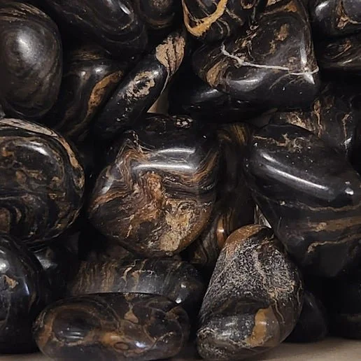 Layered Stromatolite fossil stone showing natural banded patterns in brown and cream tones.