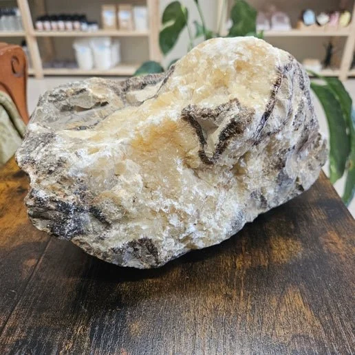 Polished Septarian nodule and sphere showing golden yellow Calcite veins and brown Aragonite patterns in natural crackled design.