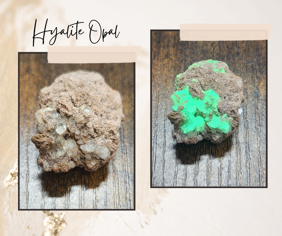 Clear botryoidal Hyalite Opal specimen glowing green under UV light alongside natural translucent raw pieces.