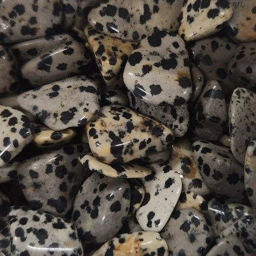 Dalmatian Jasper stone showing cream colouring with natural black and brown spotted patterns.