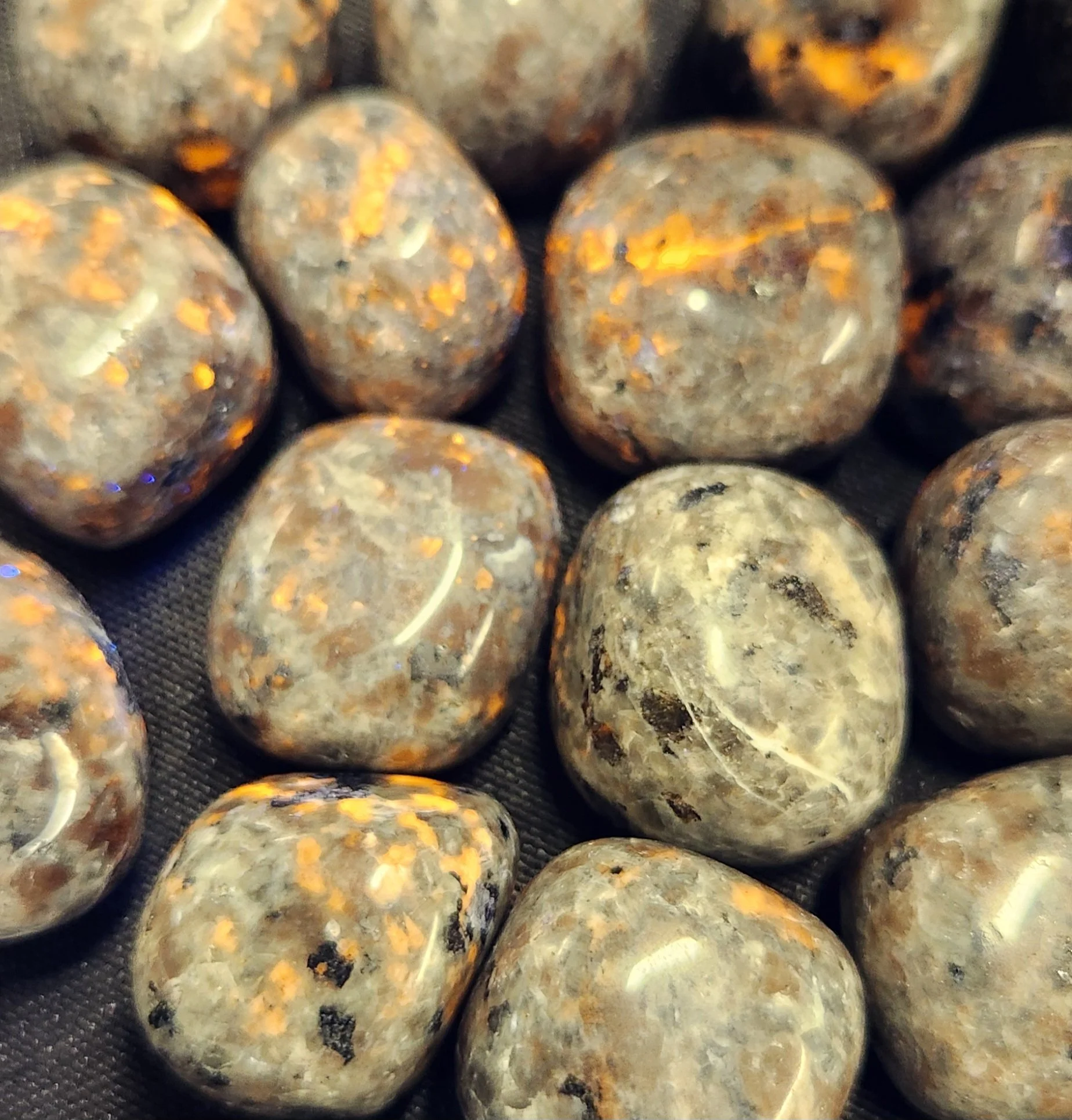 Yooperlite stone shown in natural daylight and glowing bright orange under ultraviolet light, highlighting its fluorescent sodalite content.