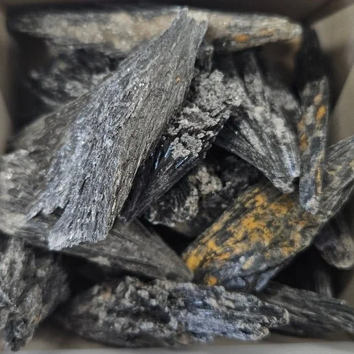 Fan-shaped Black Kyanite crystal blades displayed in natural raw formation with grounding dark tones.