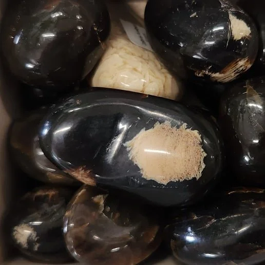 Zebra Amber stone with natural striped banding in warm honey and dark tones, showing smooth polish and organic fossil resin texture.