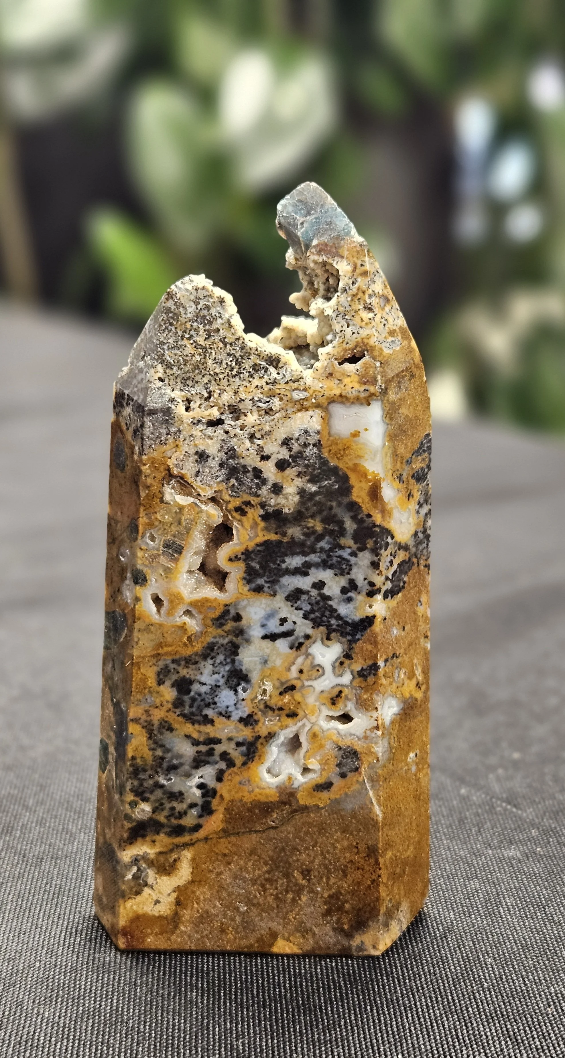 Dendritic Agate stone featuring white to translucent chalcedony with natural black and brown branch-like inclusions.