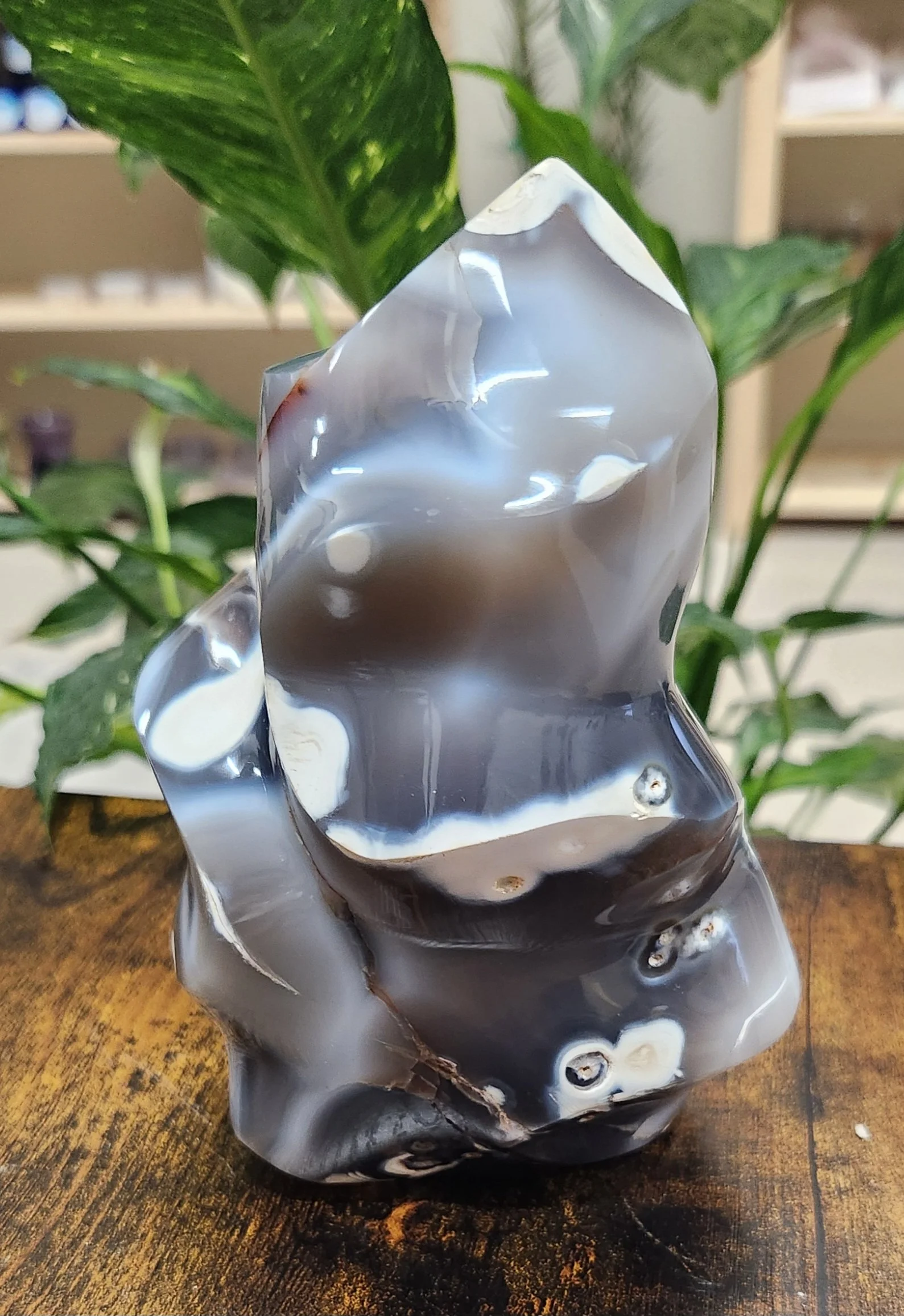 Black and white banded Orca Agate stone resembling an orca whale pattern in polished and natural forms.