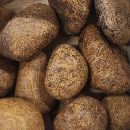 Calligraphy Jasper (Miriam Stone) polished stone showing brown and cream script-like patterns with fossil inclusions.