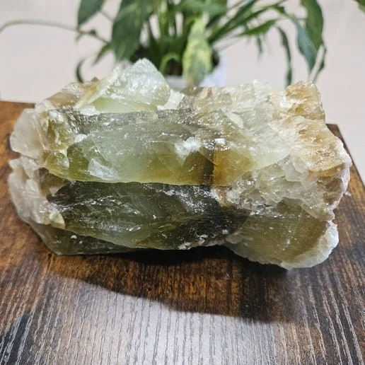 A soft green Green Calcite crystal with a smooth surface and gentle translucent glow.
