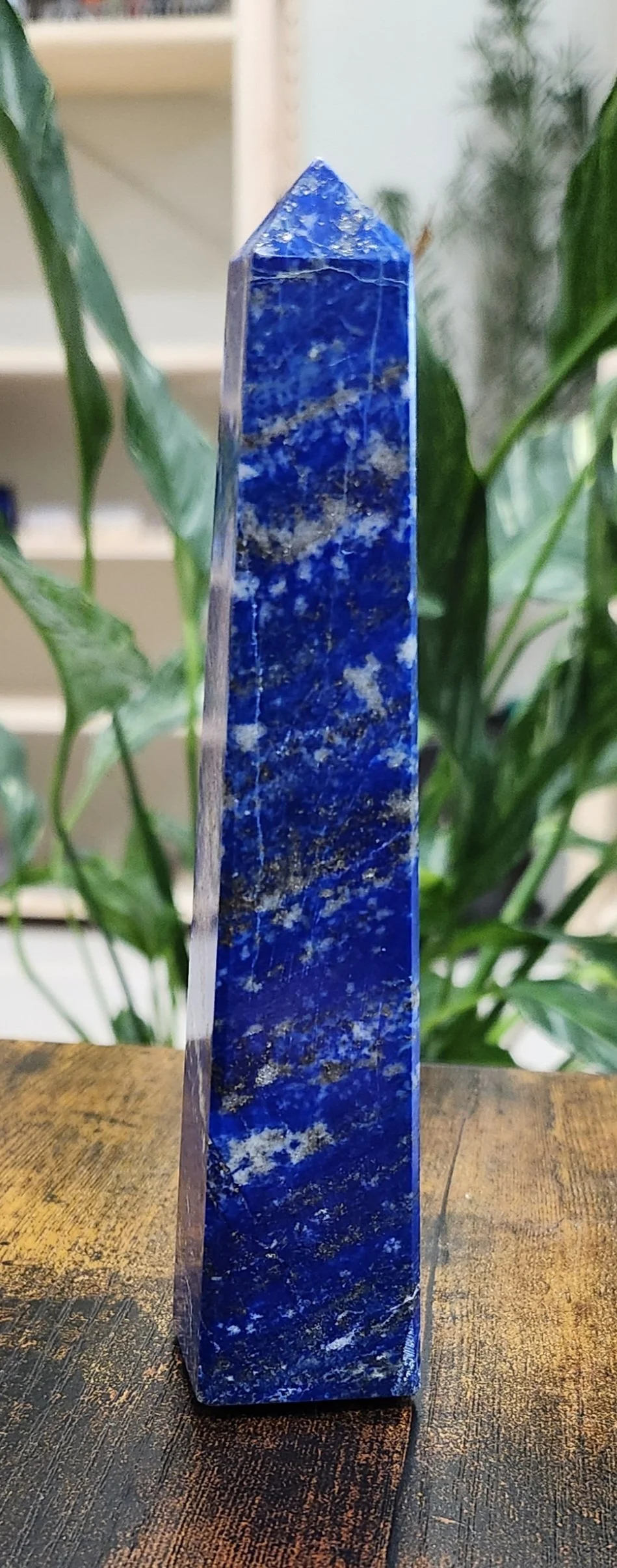 Deep royal blue lapis lazuli stone with natural gold pyrite flecks visible across its polished surface.
