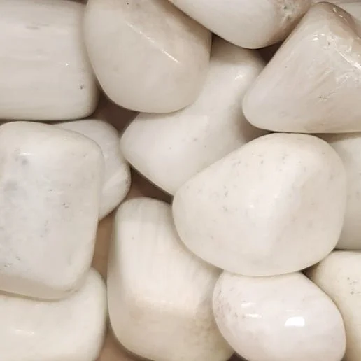 White Scolecite crystal cluster with delicate needle-like formations radiating outward in natural spray patterns.