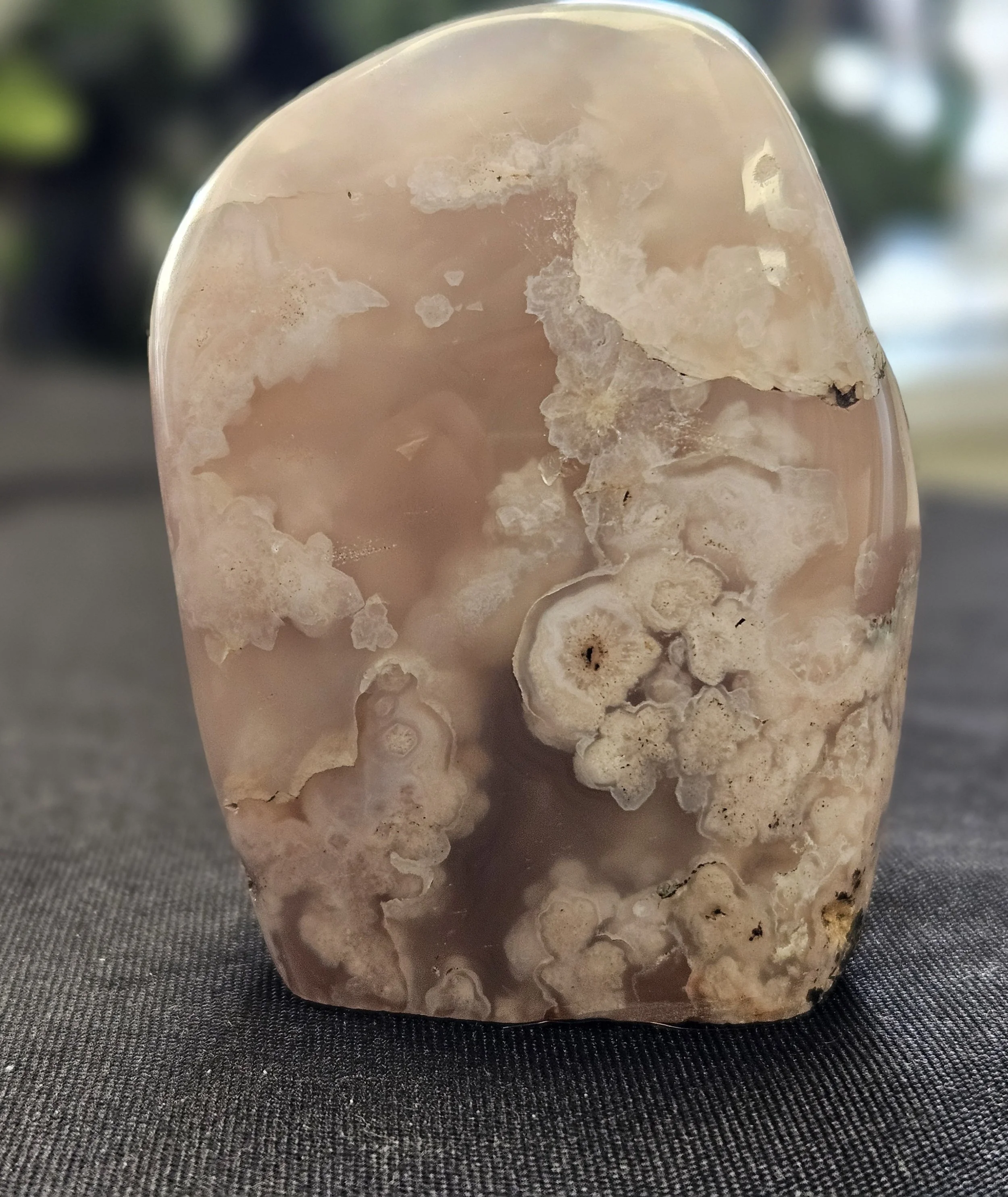 Flower Agate crystal with soft floral plume patterns, used for emotional healing, growth, and nurturing new intentions