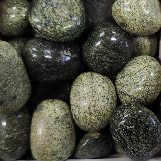 Green Snakeskin Jasper stone showing natural scale-like patterns in layered green and earthy tones.