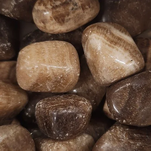 Brown Aragonite crystal with earthy brown tones and natural clustered formation, showing a grounding and organic mineral texture.