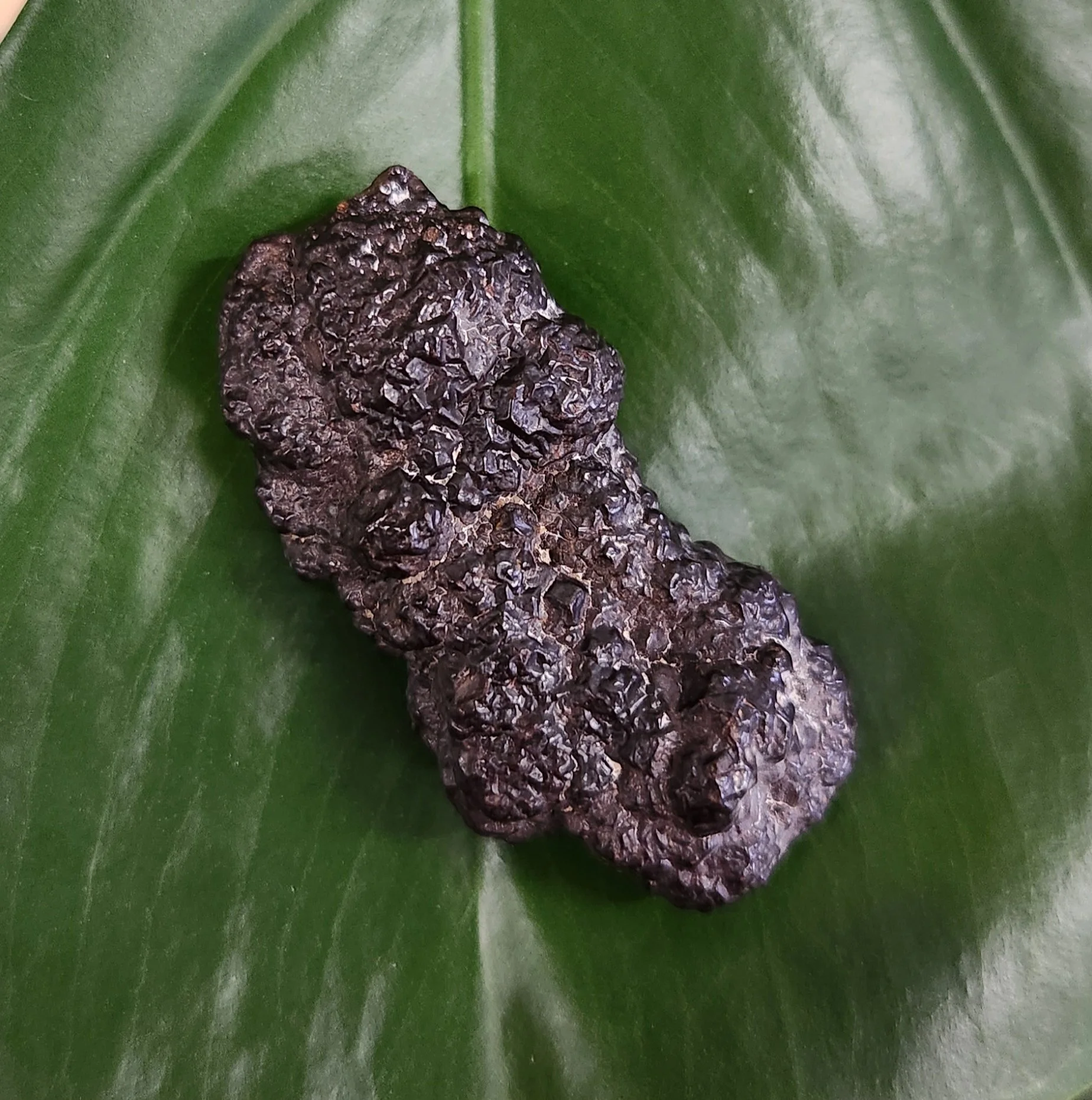 Dark brown prophecy stone from Egypt showing rough textured surface used for intuitive awakening and spiritual transformation work.