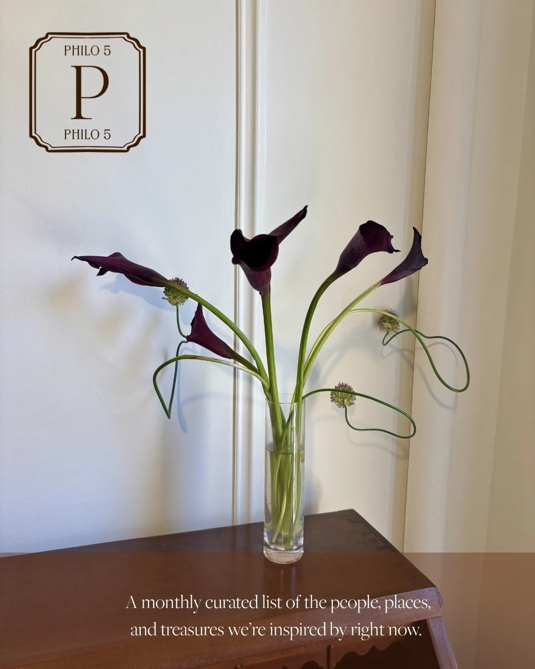 People, places and treasures inspiring us right now! Full list is now live on Substack through the link in bio! 🤎