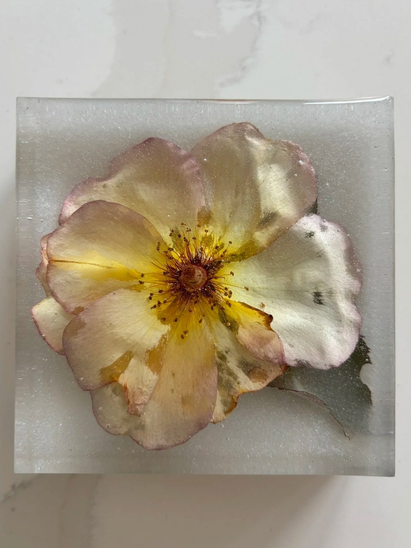 Funeral flower preserved in resin in a medium square design