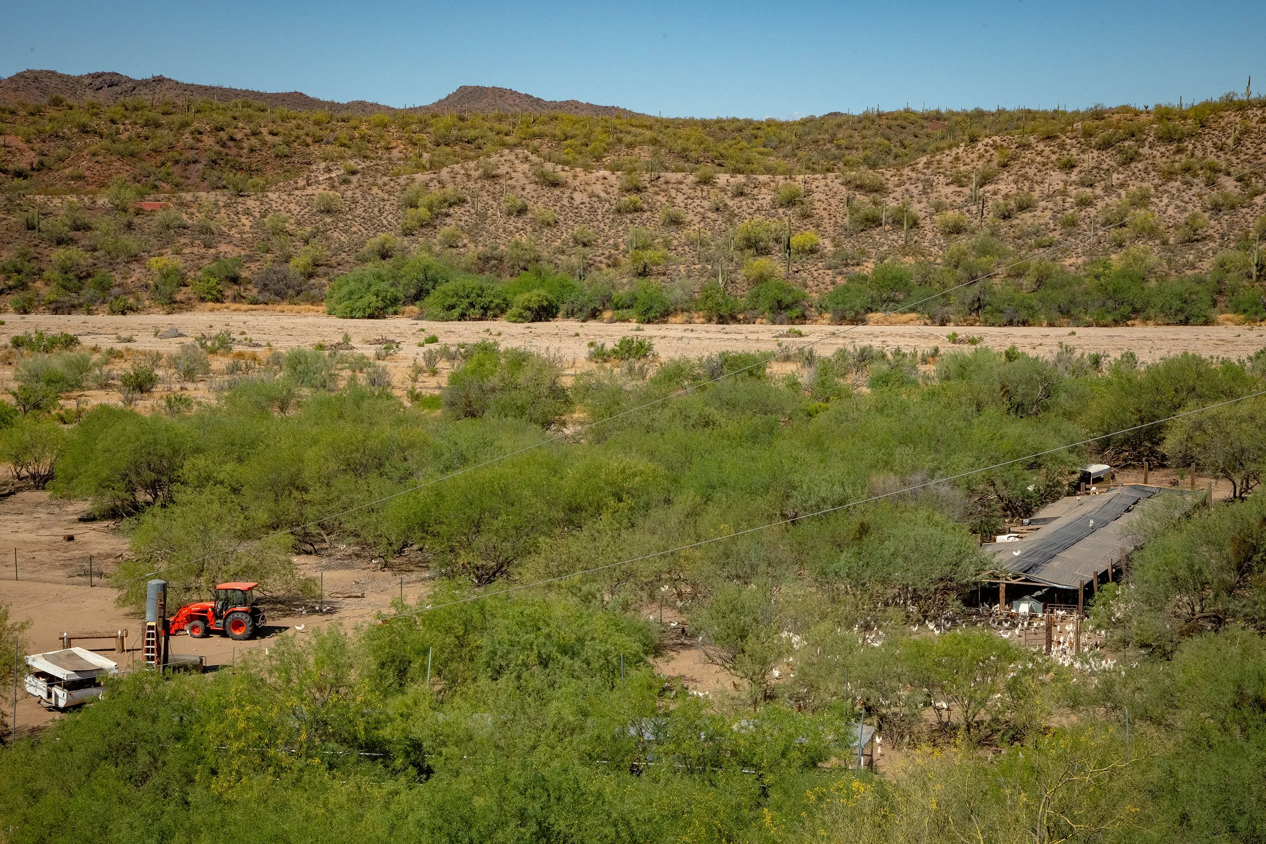 Henrys Egg Farm_web_Jill McNamara Photography_09.JPG