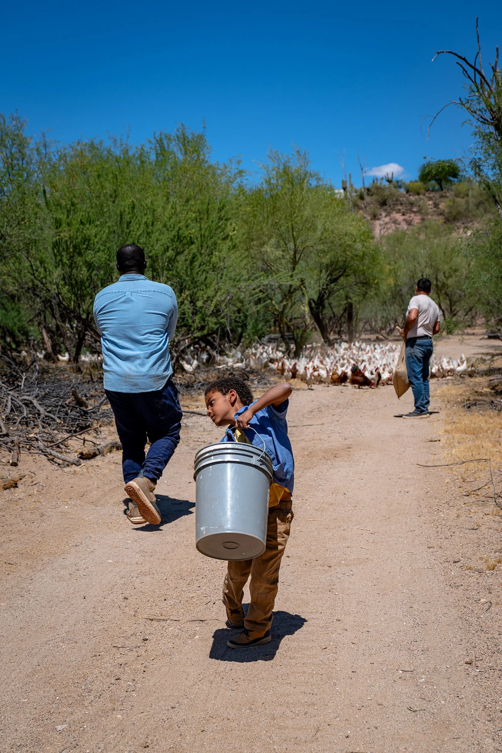 Henrys Egg Farm_web_Jill McNamara Photography_26.JPG