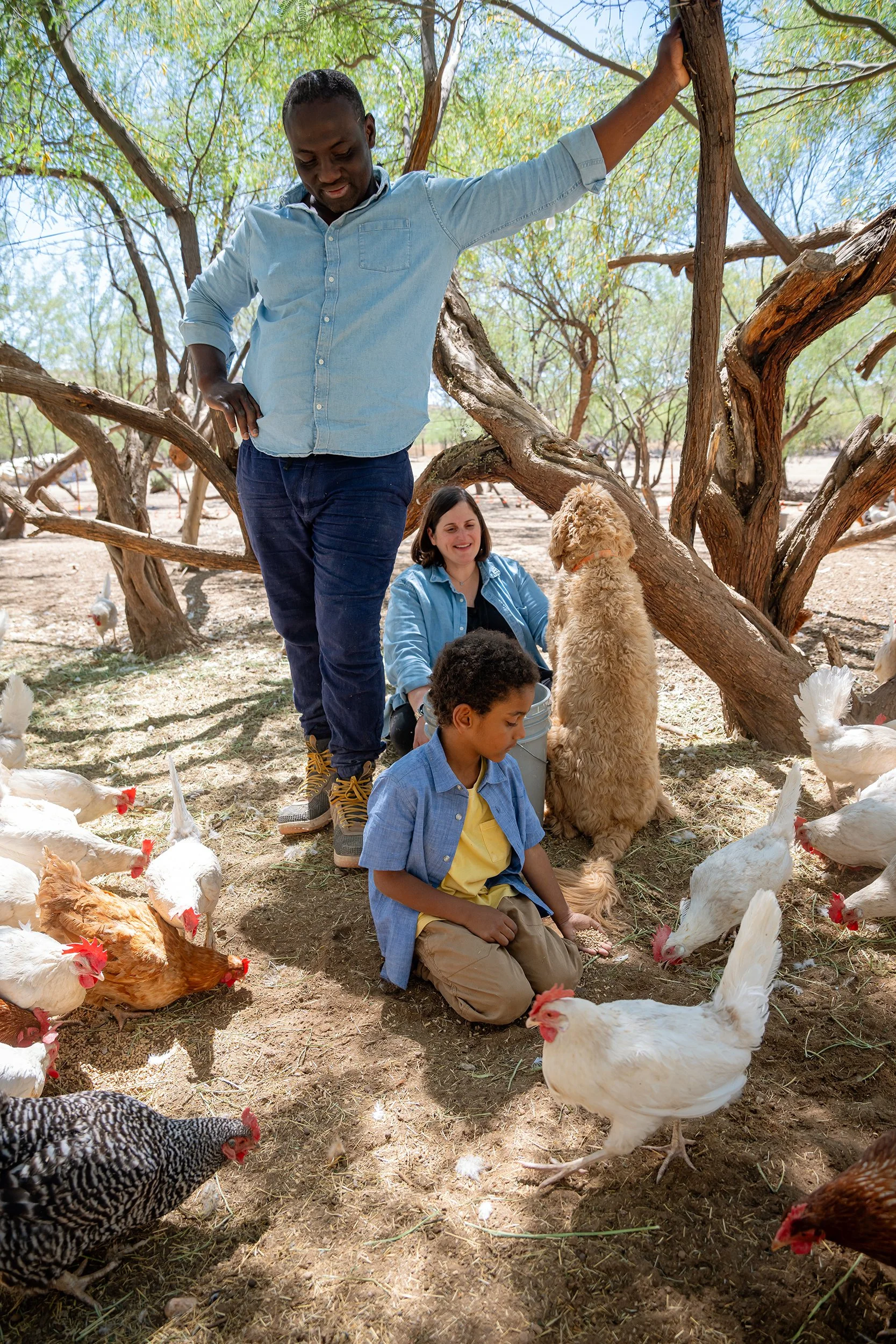 Henrys Egg Farm_web_Jill McNamara Photography_41.JPG
