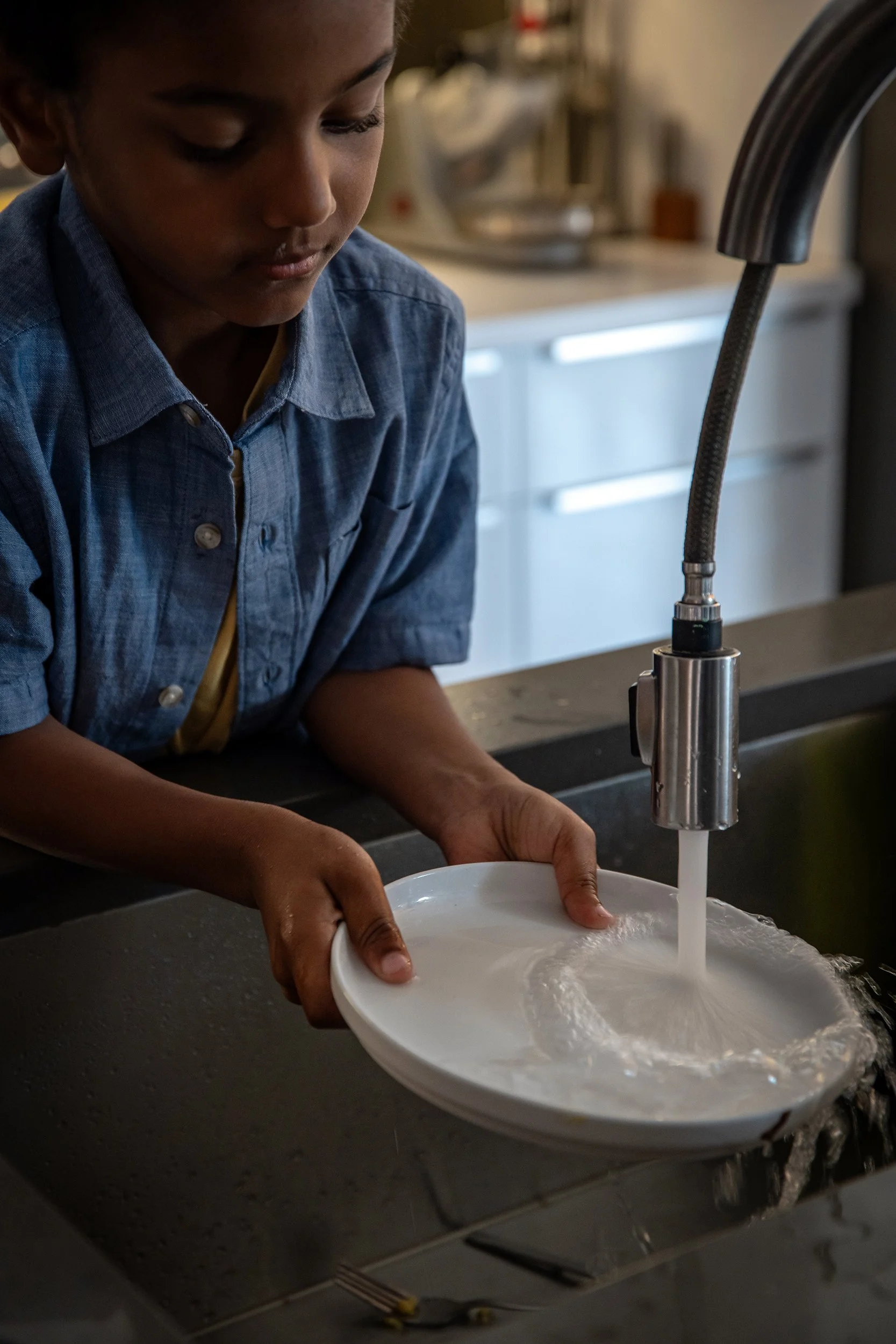 Henrys Egg Farm_web_Jill McNamara Photography_06.JPG