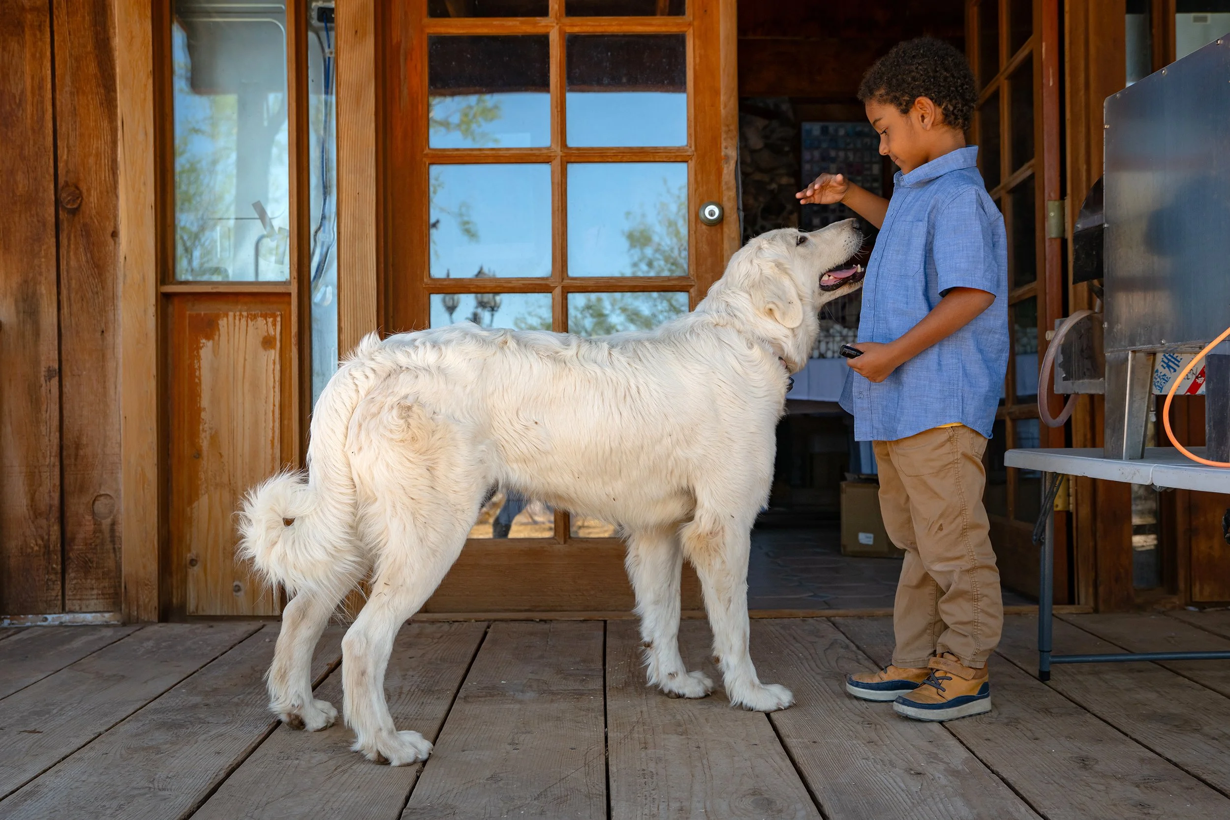 Henrys Egg Farm_web_Jill McNamara Photography_15.JPG