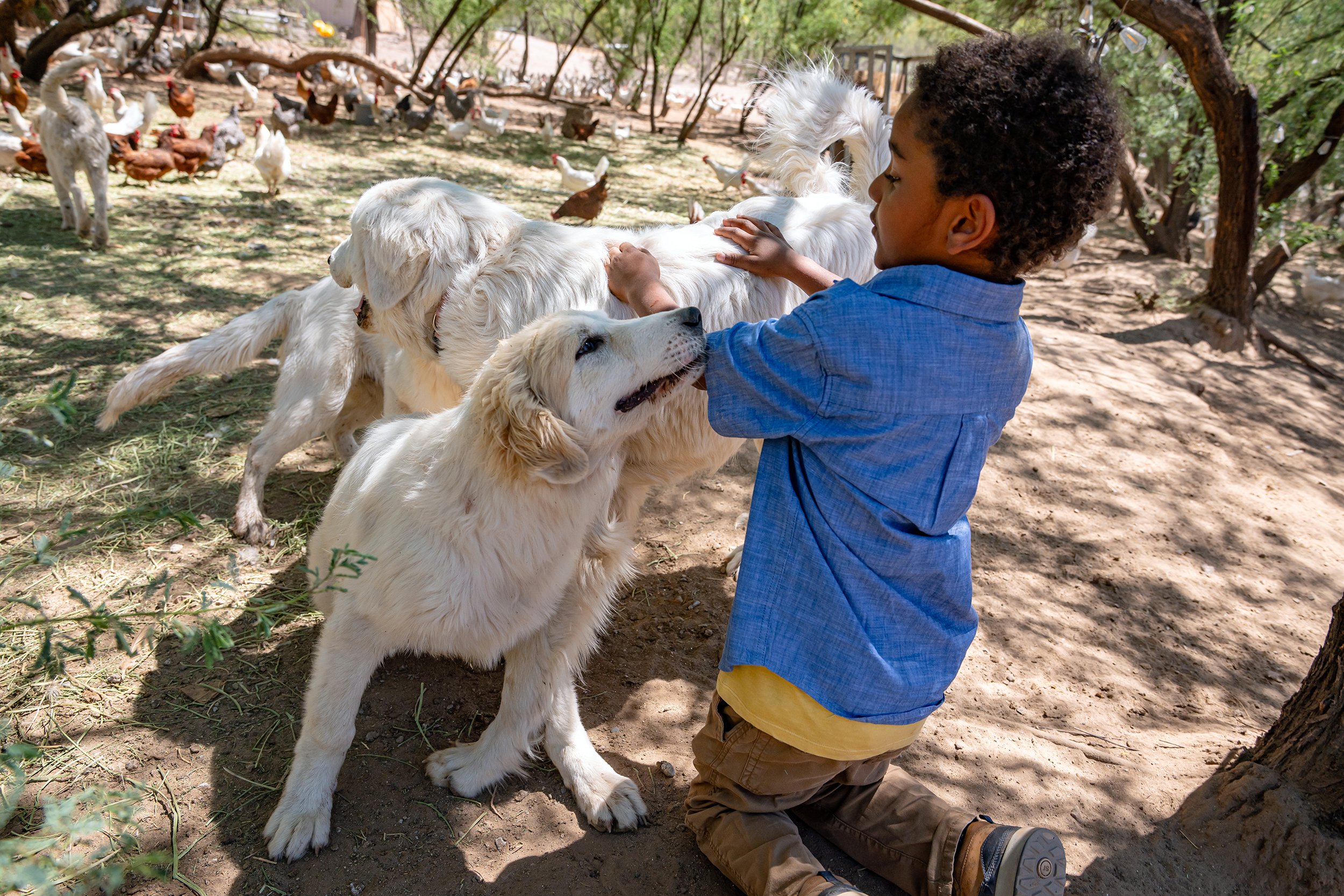 Henrys Egg Farm_web_Jill McNamara Photography_31.JPG