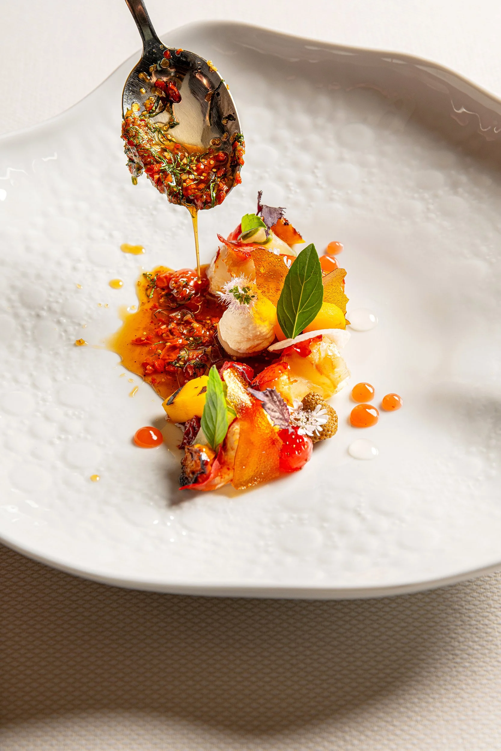 IACPJill McNamara Photography01.JPG