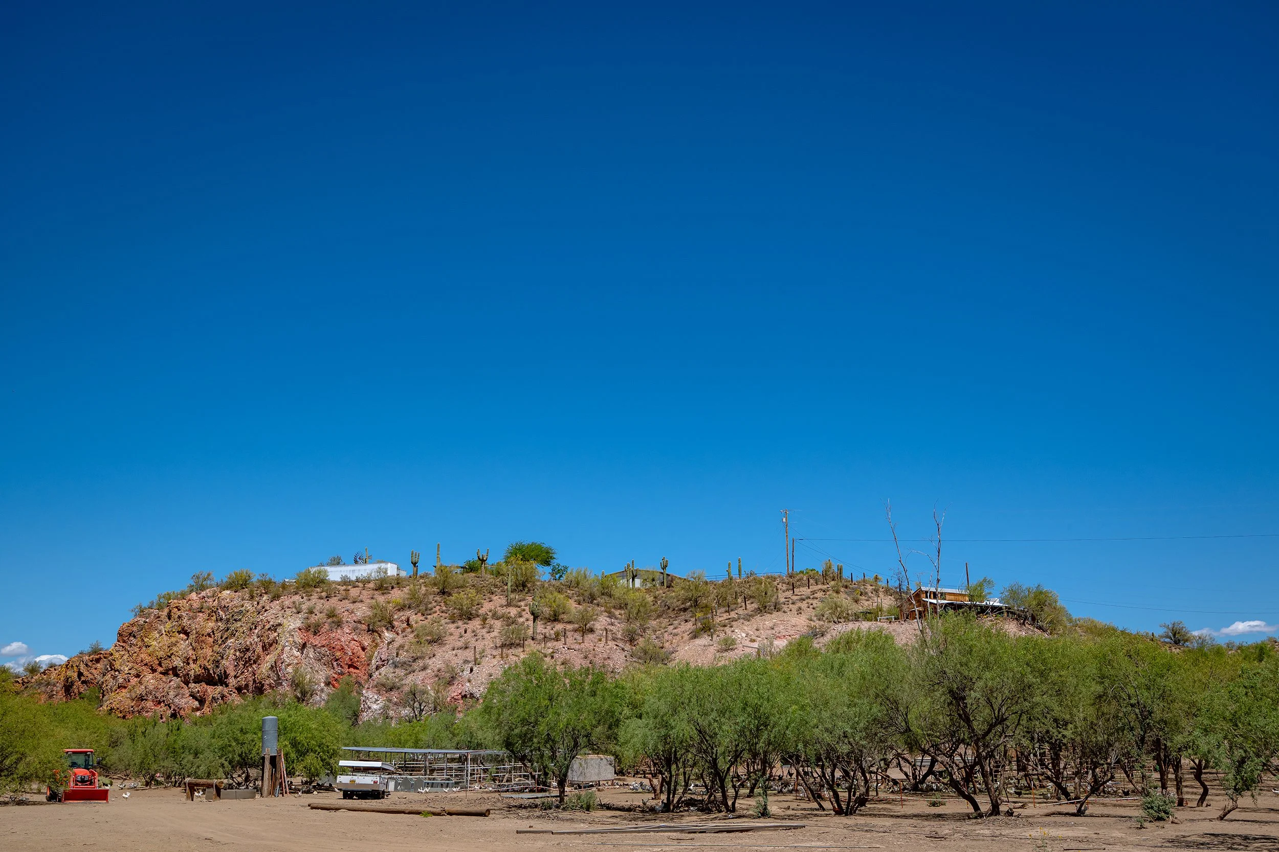 Henrys Egg Farm_web_Jill McNamara Photography_29.JPG