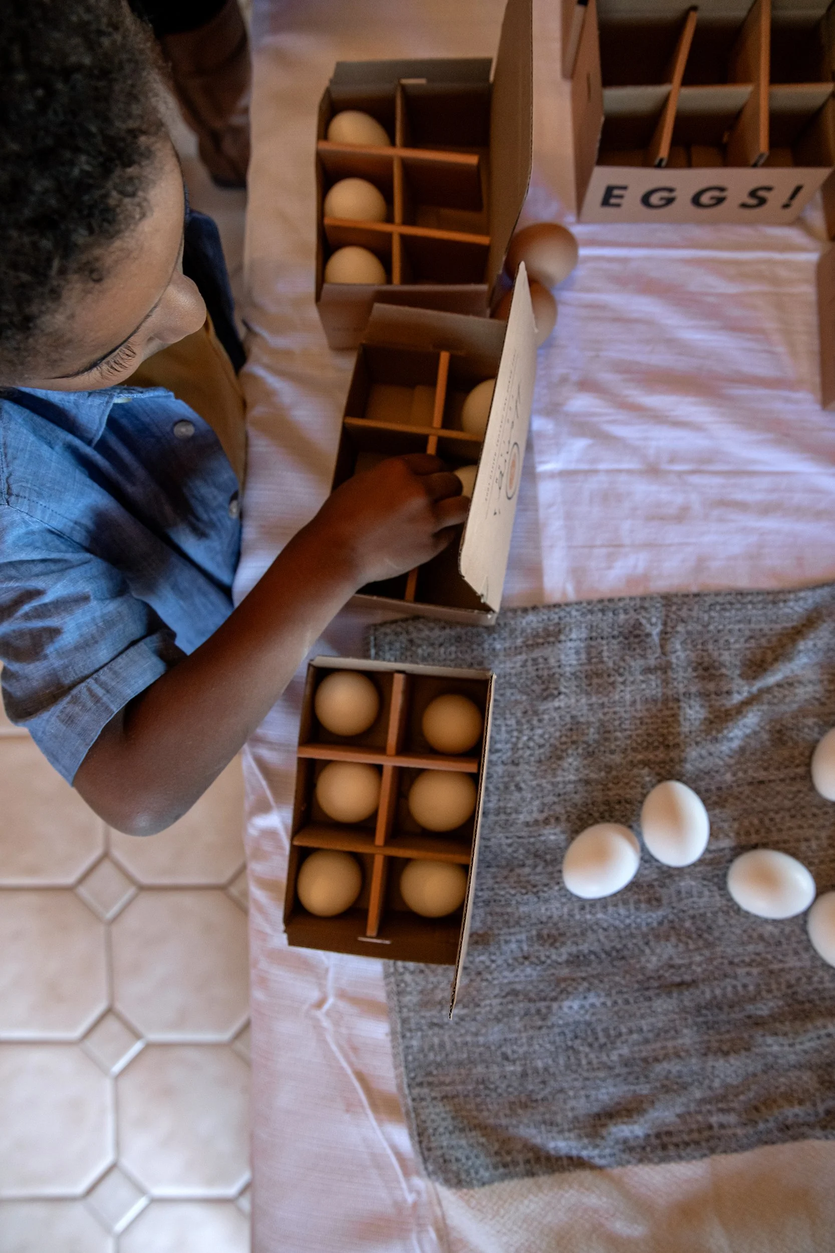 Henrys Egg Farm_web_Jill McNamara Photography_21.JPG