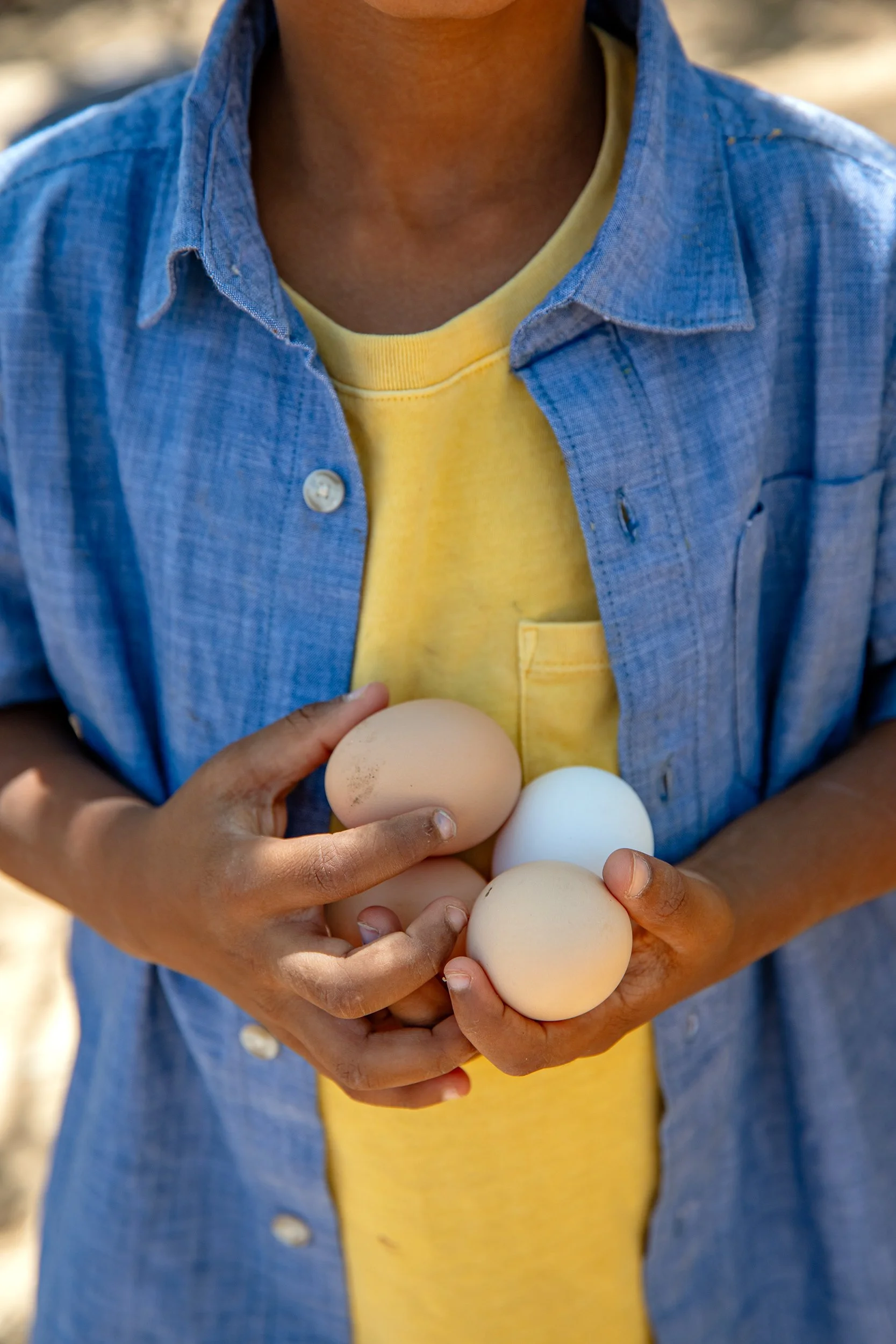 Henrys Egg Farm_web_Jill McNamara Photography_34.JPG