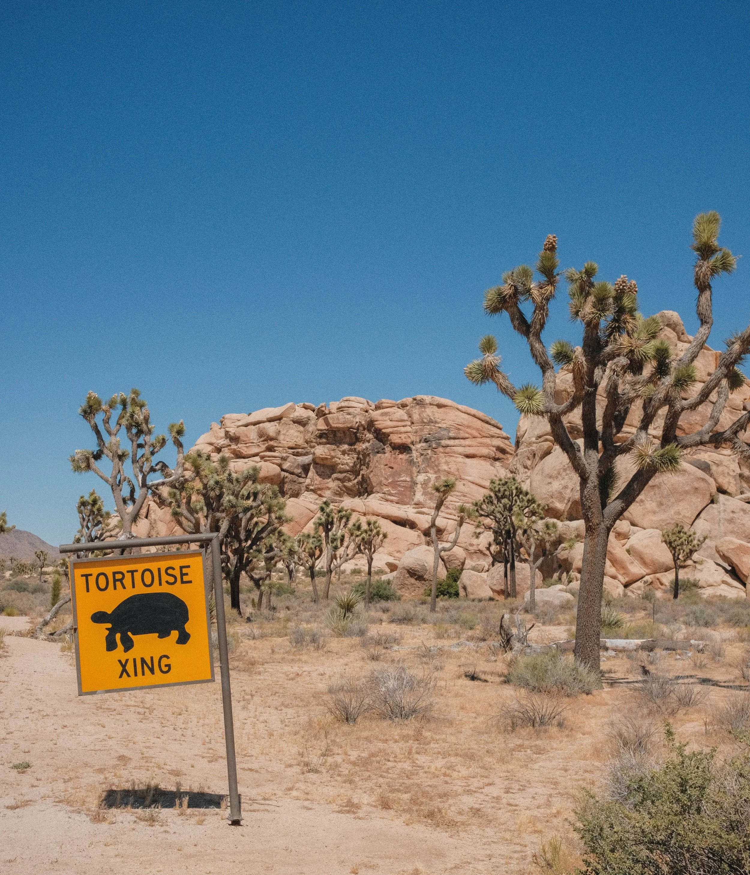 DSCF4080.jpg