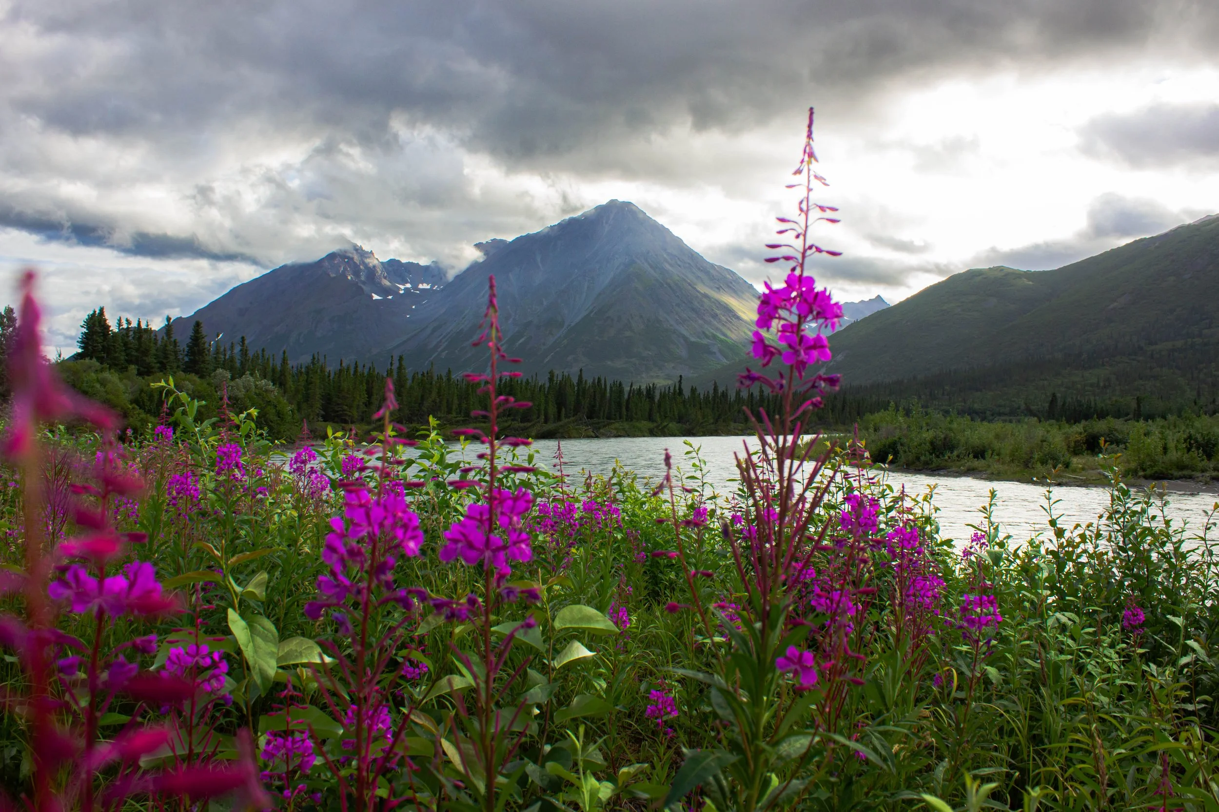 DENALI