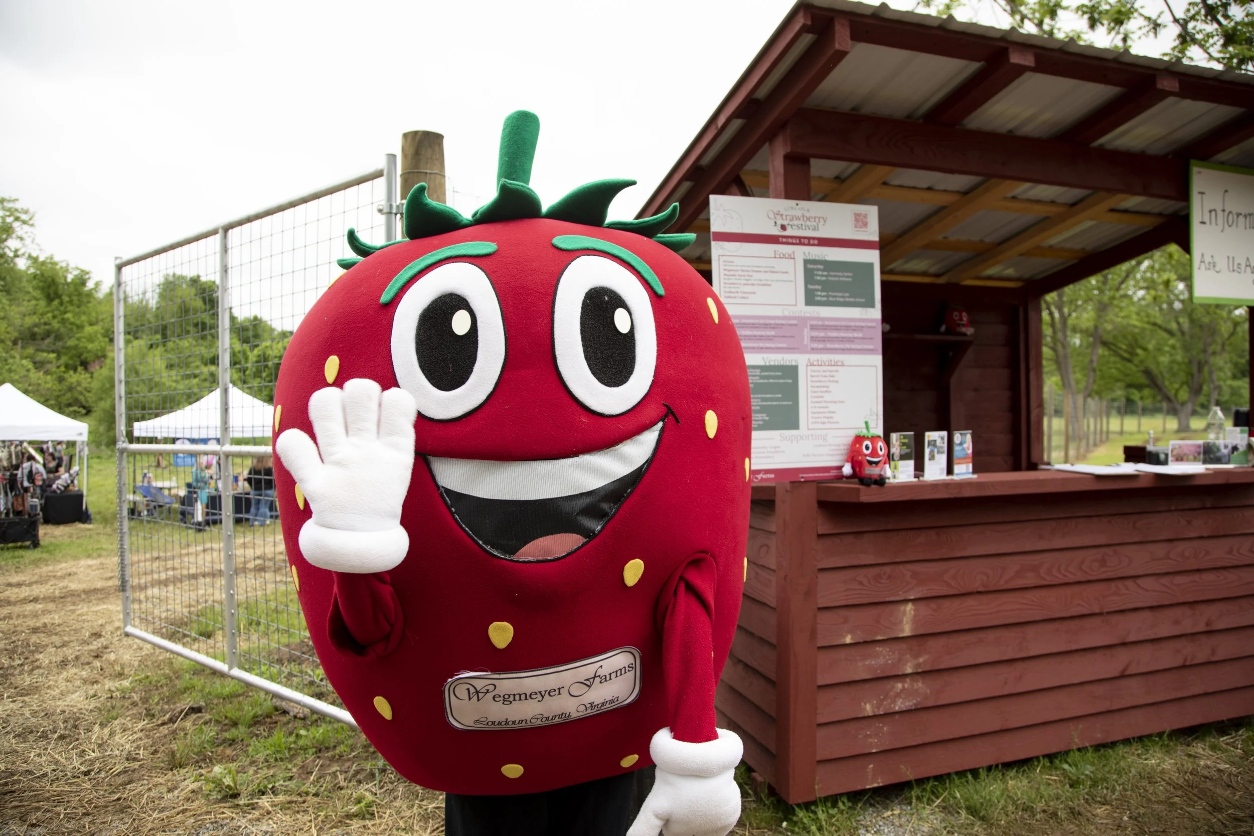 Celebrate Strawberry Season at These Festivals and Farms