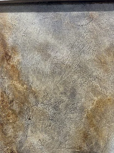 Picture1.jpg