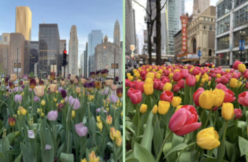 Responsive Web Design