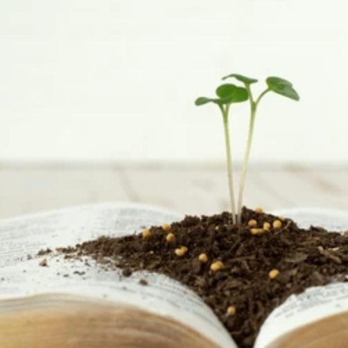 I see you, but I’ve grown…