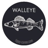 walleye.jpg