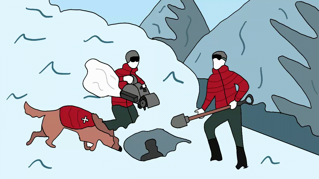 05be59d6-0533-48eb-acb6-1c411303355c.gif