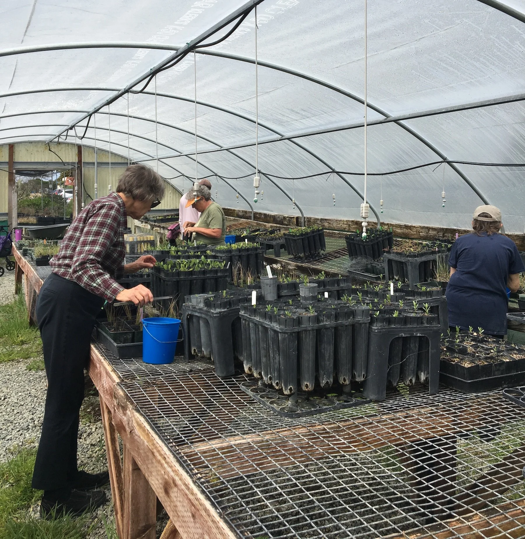 Docents of Native Species (DONS) 